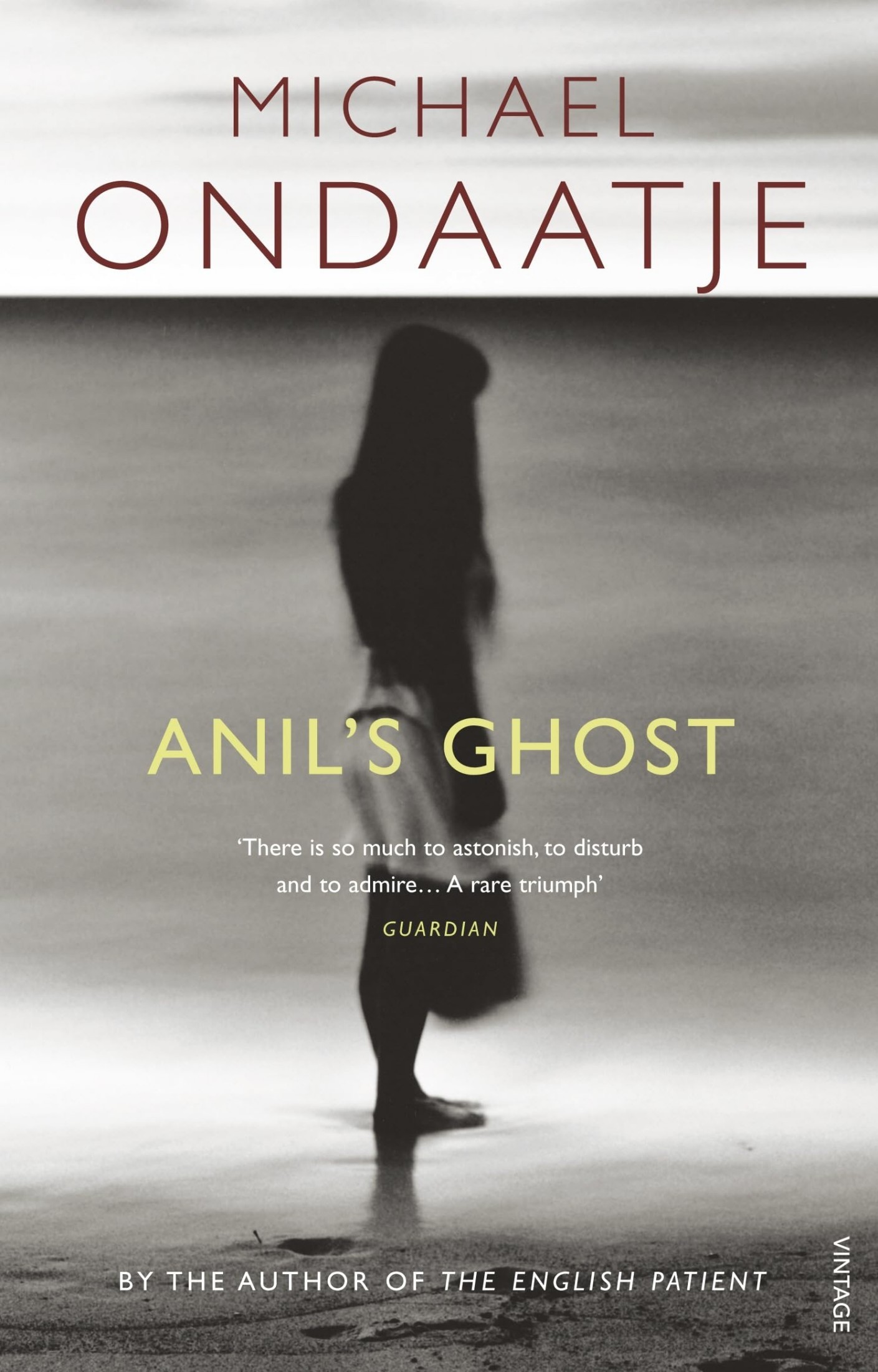 Anil's Ghost: A Novel