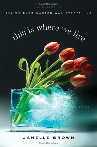 This Is Where We Live: A Novel