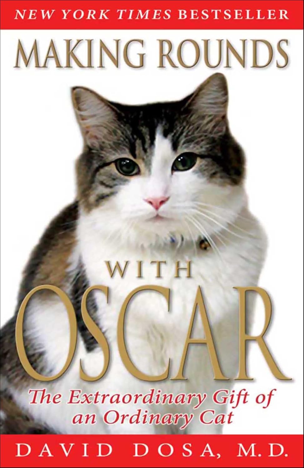 Making Rounds With Oscar: The Extraordinary Gift of an Ordinary Cat