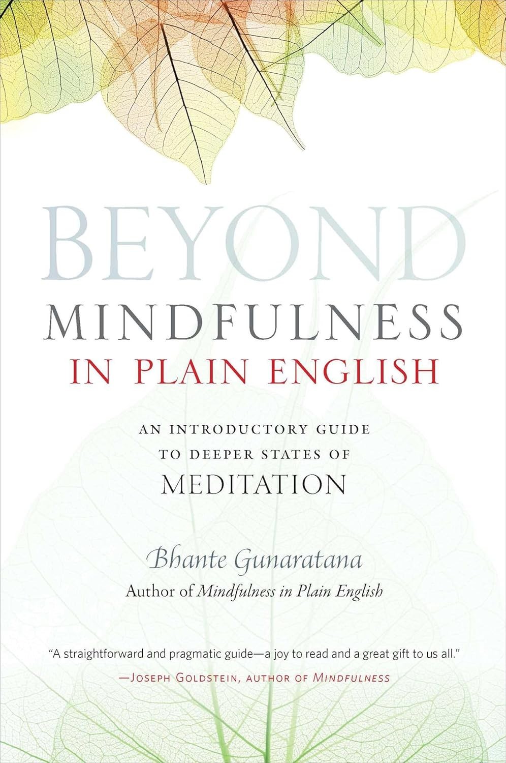 Beyond Mindfulness in Plain English: An Introductory Guide to Deeper States of Meditation