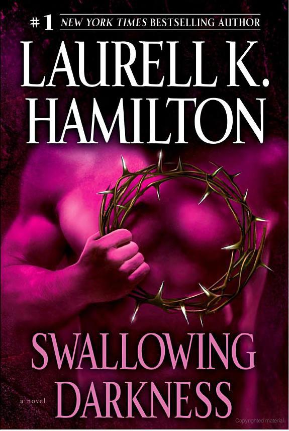Swallowing Darkness: A Novel