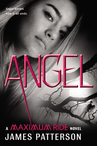 The Angel Experiment : A Maximum Ride Novel